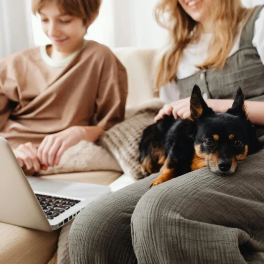 Friendly Stay in Charleston