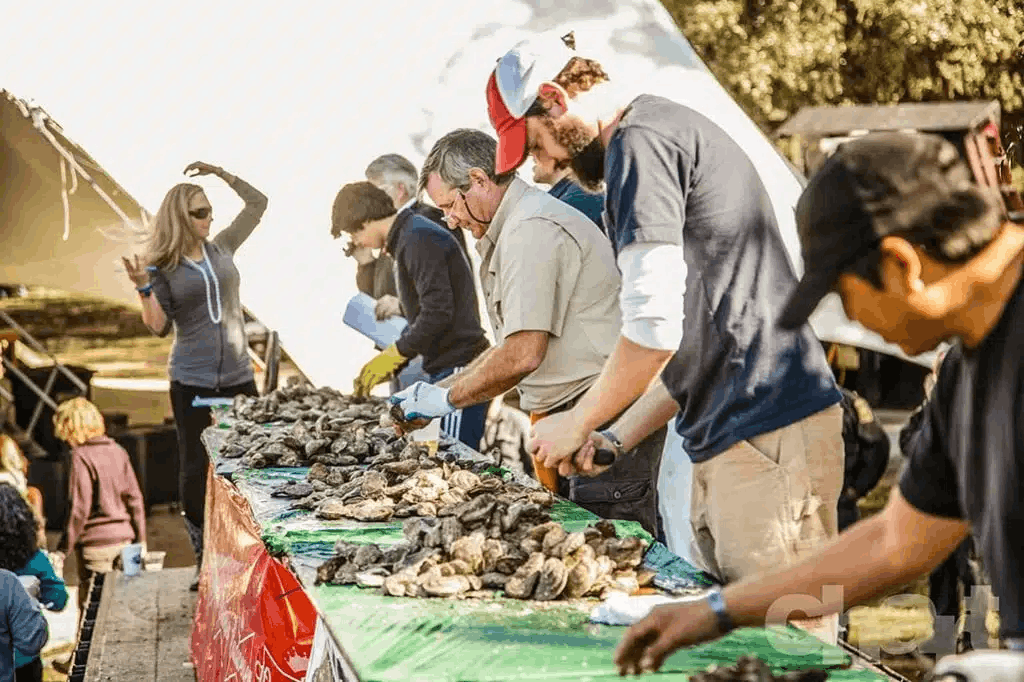 Lowcountry Oyster Festival