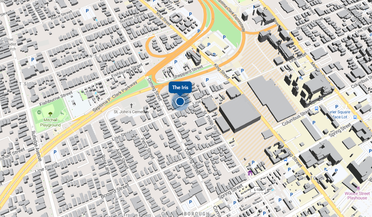 Map showing The Iris on Line Street in downtown Charleston, near King Street 