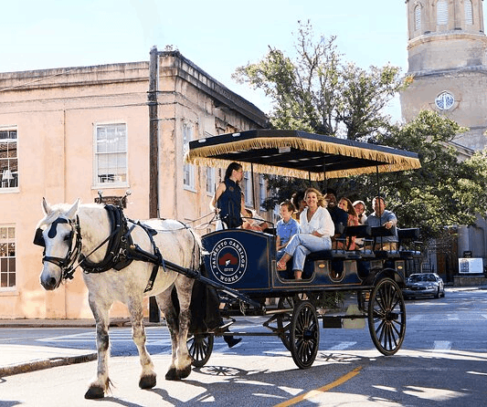 A white horse pulling a Palmetto Carriage Works tour carriage filled with tourists on a historic street in Charleston.