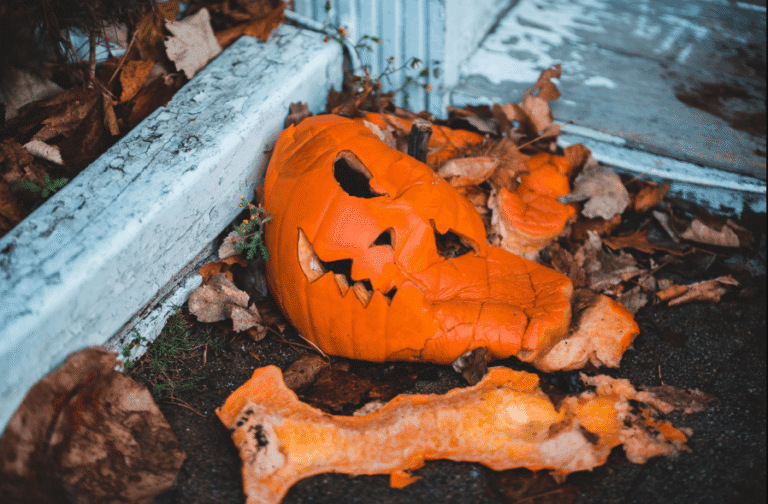 A smashed jack-o'-lantern surrounded by dry autumn leaves on a street corner.