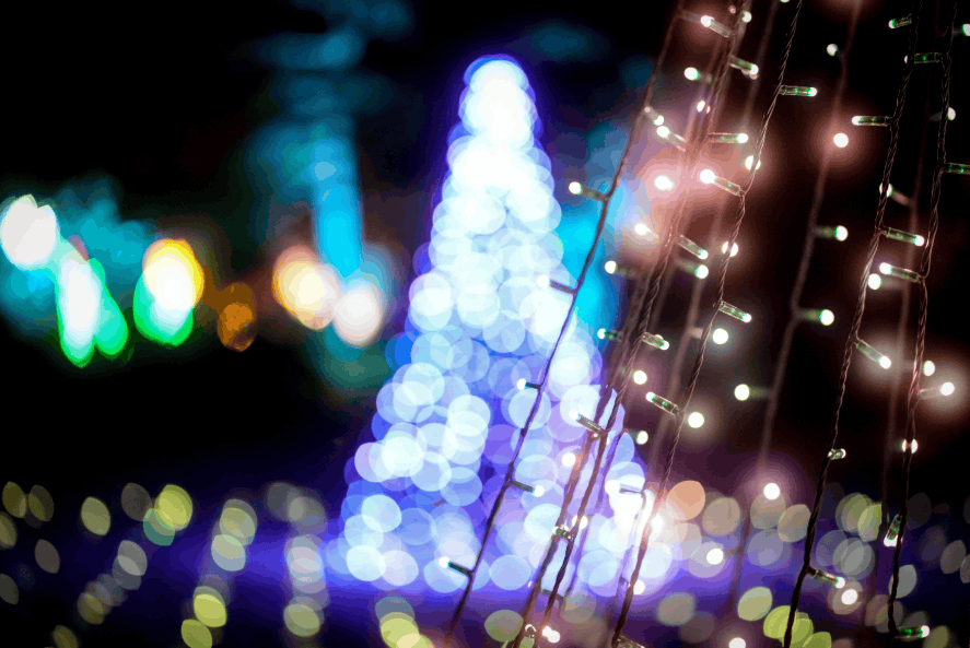 holiday lights at James Island County Park